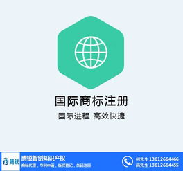 商標續展在線咨詢指南 以騰銳智創為例，解讀大嶺山地區網絡技術服務類商標維護要點